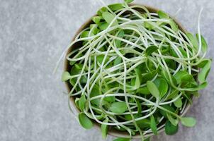 vers biologisch zonnebloem spruiten groente ingrediënt voor Koken foto