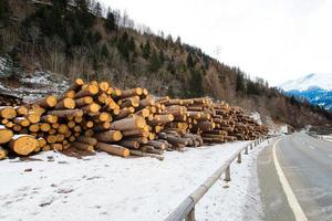 brandhout gestapeld naast de weg in de winter foto