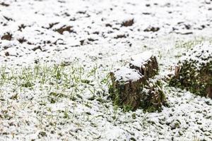 eerste sneeuw op de heuveldorpen. tussen herfst en winter foto
