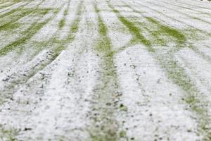 eerste sneeuw op de heuveldorpen. tussen herfst en winter foto