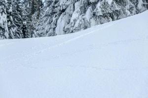 na de sneeuwval. laatste lichten van de schemering in Sappada. magie van de Dolomieten foto