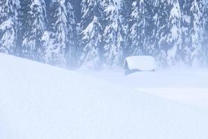 na de sneeuwval. laatste lichten van de schemering in Sappada. magie van de Dolomieten foto