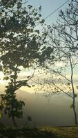 mooi zonsopkomst over- de berg reeks Bij gorontalo, Indonesië. pluizig wolken Aan een helder blauw lucht. natuur versheid concept foto