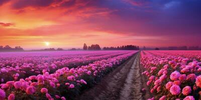 ai gegenereerd roos veld- in de zonsopkomst ochtend- met mooi lucht foto