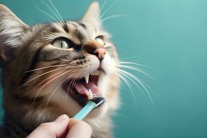 ai gegenereerd schoonmaak tanden van kat. uiterlijke verzorging en huisdier zorg. ai gegenereerd foto