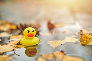 eend speelgoed- in herfst plas met bladeren foto