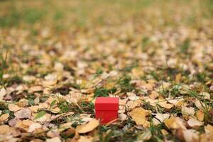 geschenkdoos in herfstbladeren, kopieer ruimte foto