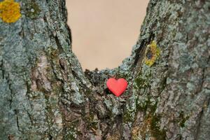 milieubescherming symbool, kopieer ruimte foto