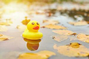 herfst eend speelgoed in plas met bladeren foto