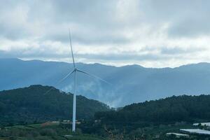 mooi landschap in de ochtend- Bij cau dat, da lat stad, lam dong provincie. wind macht Aan thee heuvel, ochtend- landschap Aan de heuvel van thee geplant foto