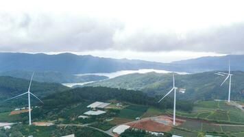 mooi landschap in de ochtend- Bij cau dat, da lat stad, lam dong provincie. wind macht Aan thee heuvel, ochtend- landschap Aan de heuvel van thee geplant foto