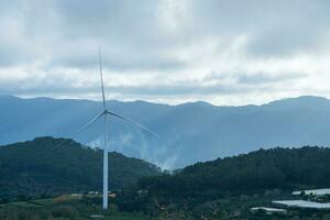 mooi landschap in de ochtend- Bij cau dat, da lat stad, lam dong provincie. wind macht Aan thee heuvel, ochtend- landschap Aan de heuvel van thee geplant foto