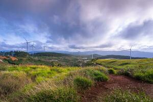 mooi landschap in de ochtend- Bij cau dat, da lat stad, lam dong provincie. wind macht Aan thee heuvel, ochtend- landschap Aan de heuvel van thee geplant foto