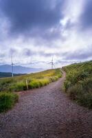 mooi landschap in de ochtend- Bij cau dat, da lat stad, lam dong provincie. wind macht Aan thee heuvel, ochtend- landschap Aan de heuvel van thee geplant foto