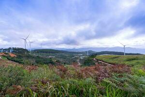 mooi landschap in de ochtend- Bij cau dat, da lat stad, lam dong provincie. wind macht Aan thee heuvel, ochtend- landschap Aan de heuvel van thee geplant foto