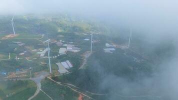 mooi landschap in de ochtend- Bij cau dat, da lat stad, lam dong provincie. wind macht Aan thee heuvel, ochtend- landschap Aan de heuvel van thee geplant foto