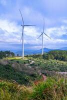 mooi landschap in de ochtend- Bij cau dat, da lat stad, lam dong provincie. wind macht Aan thee heuvel, ochtend- landschap Aan de heuvel van thee geplant foto