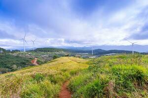 mooi landschap in de ochtend- Bij cau dat, da lat stad, lam dong provincie. wind macht Aan thee heuvel, ochtend- landschap Aan de heuvel van thee geplant foto