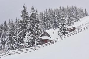 gezellige houten hut hoog in de besneeuwde bergen. grote pijnbomen op de achtergrond. verlaten kolyba herder. bewolkte dag. karpaten, oekraïne, europa foto