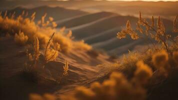 ai gegenereerd droog gras in de woestijn Bij zonsondergang. generatief ai foto