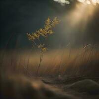 ai gegenereerd gras in de weide Bij zonsondergang met zonnestralen. generatief ai foto