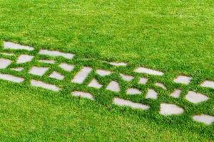 wandelen steen pad Aan groen gazon foto