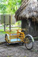 huur een fiets driewieler rijden door de oerwoud coba ruïnes. foto
