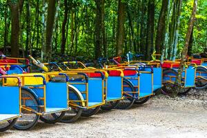 huur een fiets driewieler rijden door de oerwoud coba ruïnes. foto