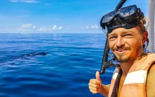 Mens persoon duurt selfie met reusachtig walvis haai Cancun Mexico. foto