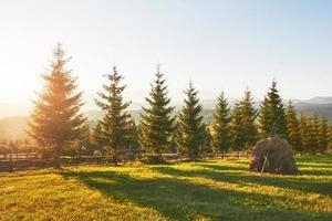 mooi herfstzonsopganglandschap in de Karpaten, Europa reizen, West-Oekraïne, Karpaten Nationaal Park, wondere wereld, behanglandschapsachtergrond foto