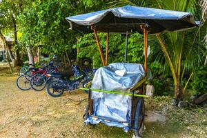 coba quintana roo Mexico 2023 huur een fiets driewieler rijden door de oerwoud coba ruïnes. foto