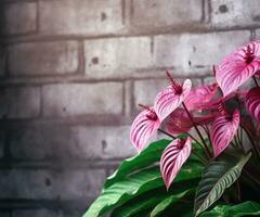 ai gegenereerd bloemen Aan steen muur foto