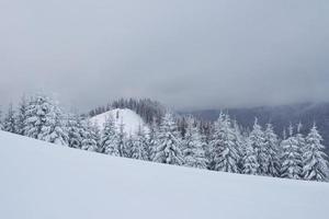ochtend winter rustig berglandschap met prachtige frosting sparren en skipiste door sneeuwbanken op berghelling foto