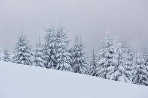 ochtend winter rustig berglandschap met prachtige frosting sparren en skipiste door sneeuwbanken op berghelling foto