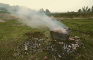 shish kebab van kip Vleugels zijn gebakken in de veld. een klassiek barbecue in de Open lucht. de werkwijze van frituren vlees Aan houtskool foto