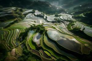 ai gegenereerd rijst- velden Aan terrasvormig van mu cang chai, yenbai, Vietnam. rijst- velden bereiden de oogst Bij Noord West vietnam.vietnam landschappen. neurale netwerk ai gegenereerd foto