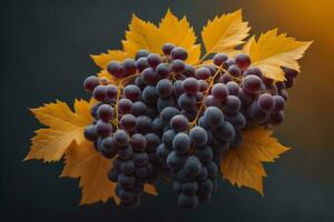 ai gegenereerd bundel van druiven met herfst bladeren Aan een donker achtergrond. selectief focus. ai gegenereerd foto