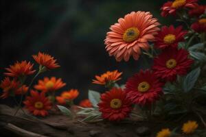 ai gegenereerd mooi oranje gerbera bloemen in de tuin met donker achtergrond. generatief ai foto