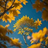 ai gegenereerd esdoorn- boom met geel bladeren en blauw lucht in herfst seizoen. generatief ai foto