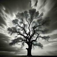 ai gegenereerd zwart en wit beeld van een oud eik boom met een bewolkt lucht. generatief ai foto