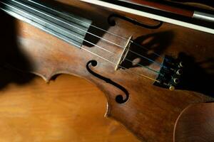 dichtbij visie van een viool strings en brug foto