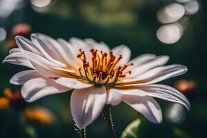 ai gegenereerd een wit bloem met een geel centrum foto