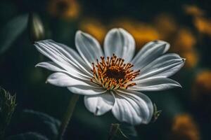 ai gegenereerd een wit bloem met geel centrum in de midden- foto