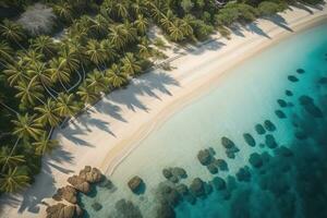 ai gegenereerd antenne visie van mooi tropisch strand en zee met kokosnoot palm boom. ai generatief foto