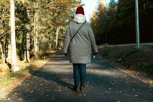 mooi vrouw wandelen Aan pad omringd door herfst kleuren Aan een helder zonnig dag foto