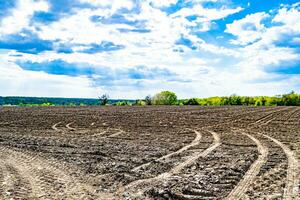 fotografie Aan thema groot leeg boerderij veld- voor biologisch oogst foto