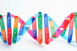 dna molecuul spiraal structuur model- geïsoleerd Aan wit achtergrond, chromosoom en gen chemisch wetenschap biologie. foto