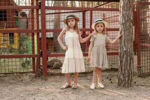 twee preteen meisjes staand in de buurt kooien met huiselijk dieren en vogelstand in land landgoed foto