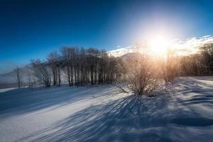 winterlandschap tijdens zonsopgang foto