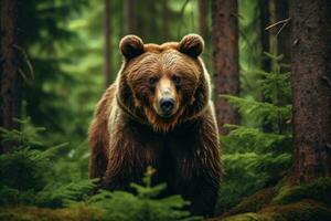 ai gegenereerd bruin beer in de Woud Bij zonsondergang. portret van een wild dier, een bruin beer in de Woud, afgebeeld in een detailopname visie van een wild dier, ai gegenereerd foto